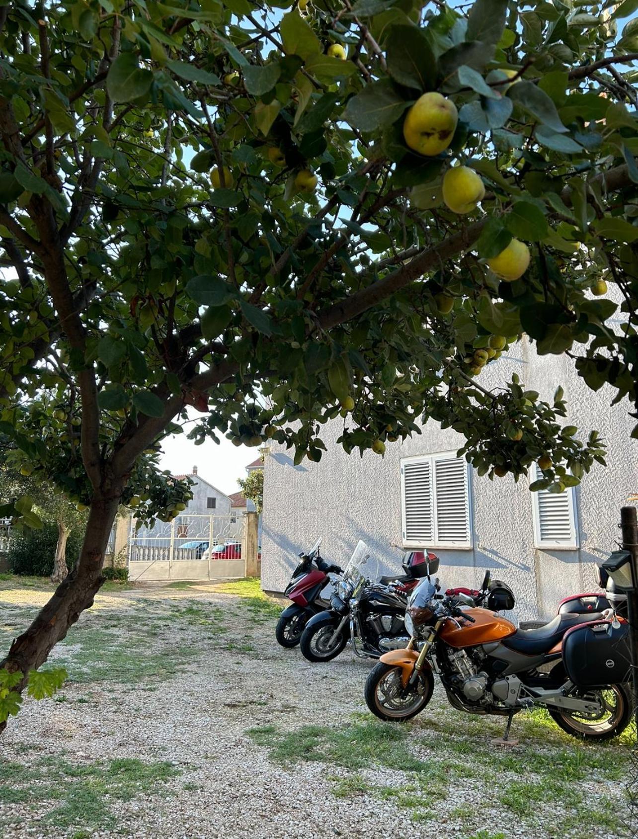 Villa Jadran Zadar Free Parking Sea View Exterior foto